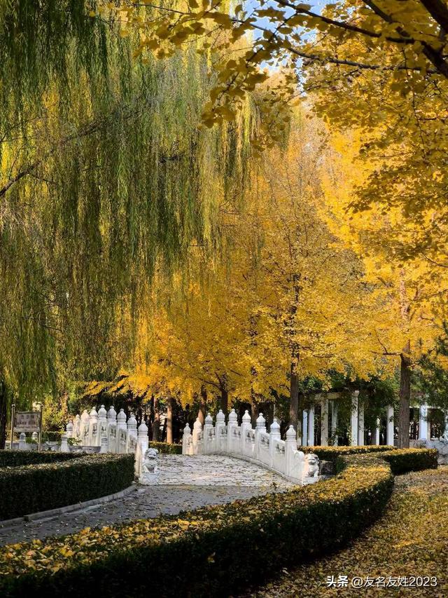 金陵初冬：六朝烟水间的一曲清冷与温存