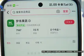 网购大榴莲，等来小石榴……维权过程让他气愤图片