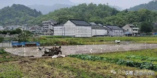 楠溪江这个冷门的秀美村庄，秘藏着一条风光旖旎的小众古道