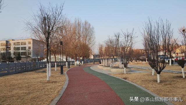 泰安：城东有一个公园，一场40分钟的闲逛，竟找到让人动容的瞬间