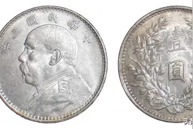 各国货币名称由来，元镑卢布卢比比索第纳尔，各自有什么来历？图片