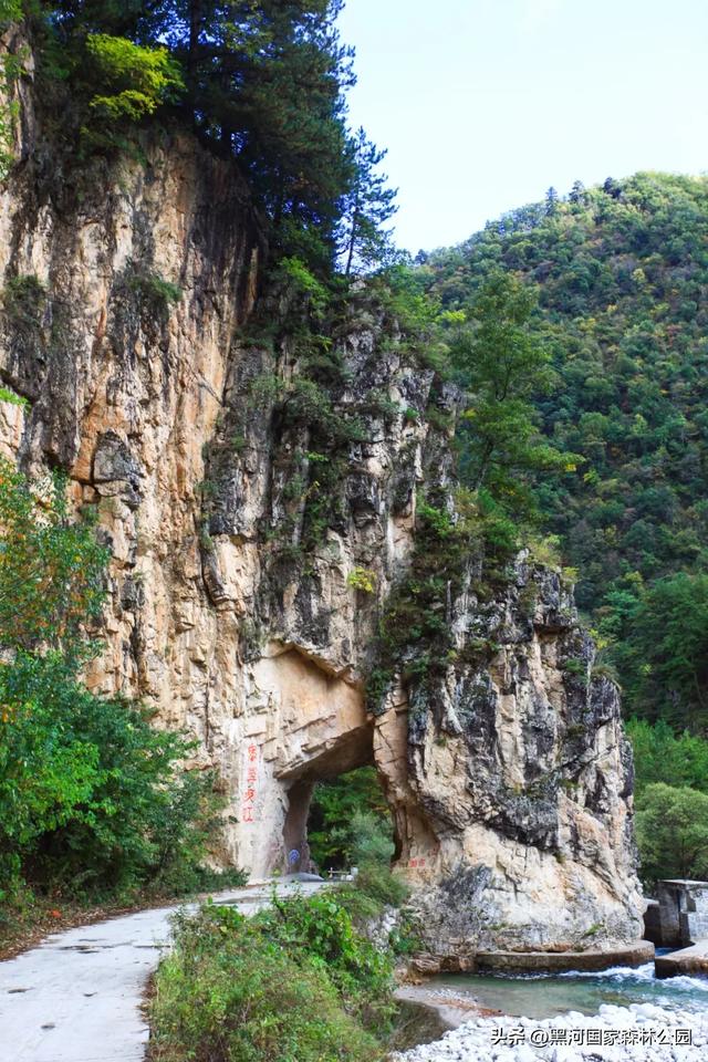 山林间邂逅最美的季节交替 | 四大景区,各具风韵,一步一诗境
