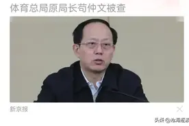 体育“饭圈”的大圈主落马了，女排还依赖小菜一碟吗？图片