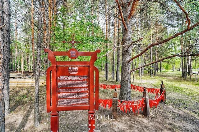 你找着北了吗？在边境线上的漠河北极村，开启一段寻北之旅！