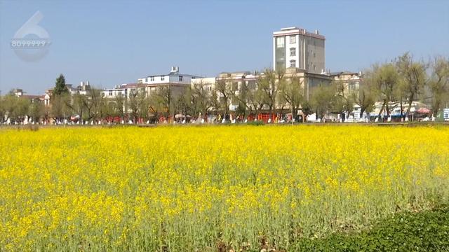 “Color Walk”火了！在昆明，用颜色解锁一座城