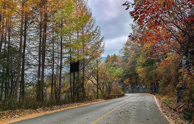 2024深秋四川行19 神农架风景区2 华中屋脊的五彩秘境