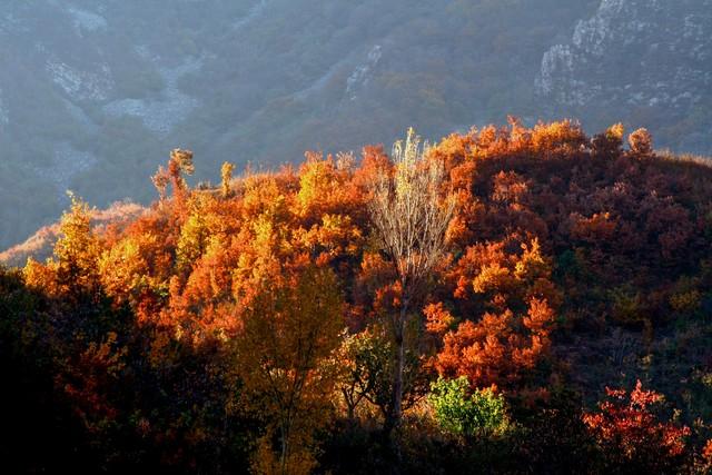 不藏了，推荐天津5个秋色仙境，最后一个惊艳了百年时光！