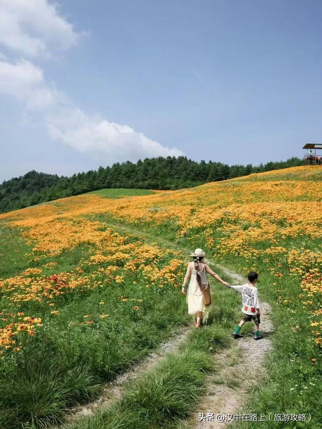 汉中镇巴元气之旅：邂逅浪漫，畅享自然