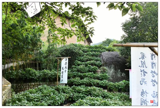 江西上饶望仙谷（二）