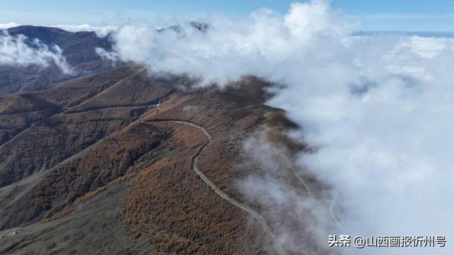 金秋五台山 醉美山色入画来
