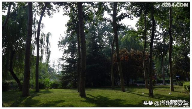 山东行游影记（15）—济南山东大学（二）