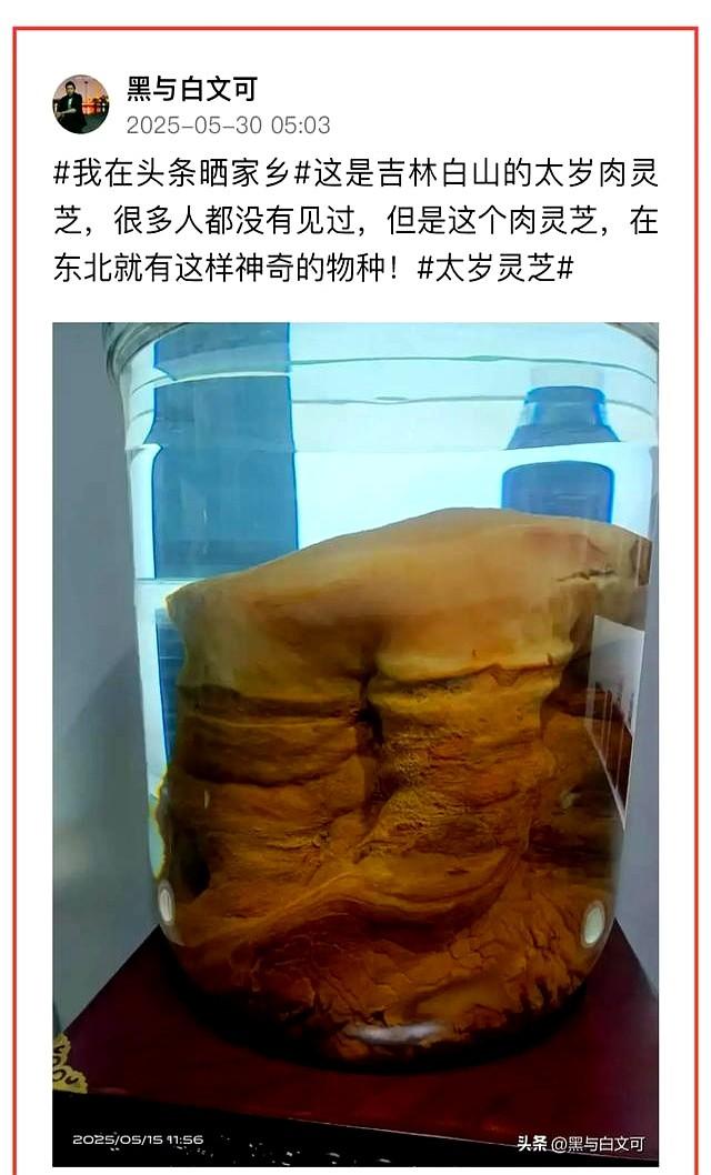 家乡的味道，舌尖记得、心也记得｜ 条友这一周