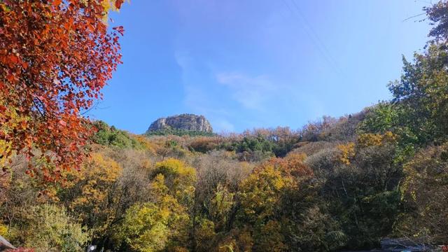 十一月二日，2025年第十七届枣庄市抱犊崮红叶季将盛大启动！