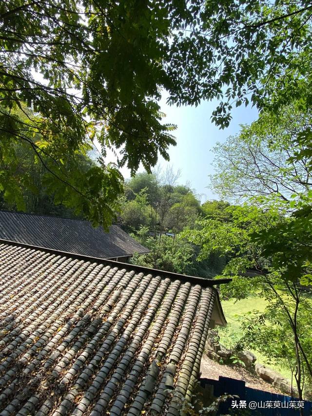 2023年春重庆探亲记（三）