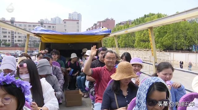 已经开始排队了！蓝花楹赏花巴士试运行