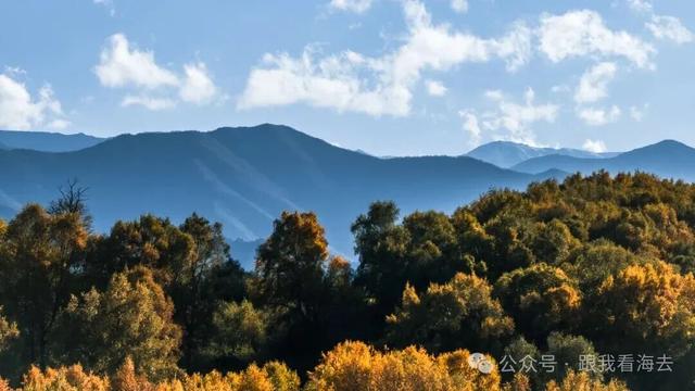 雪玲子：我是蓝川常在的云
