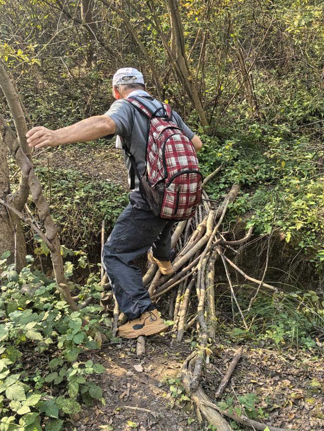 南京龙尚湖，大连山，佘村一日郊野徒步