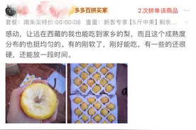 电商西进背后：拼多多与那些被忽略的爱与自由图片