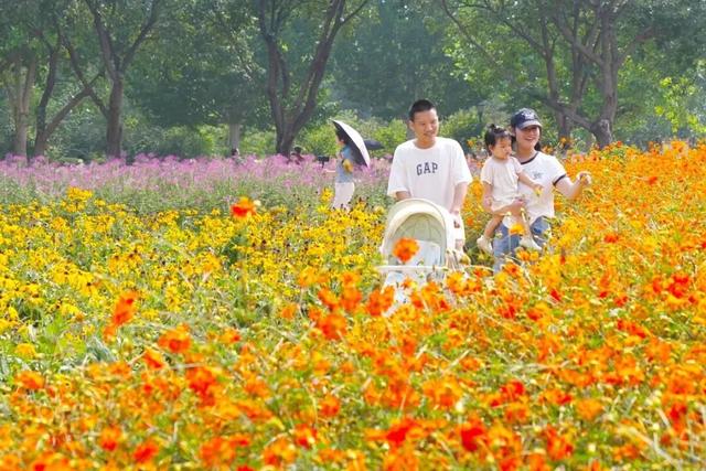 村咖骑游！在顺义这40公里邂逅“香醇”秋色——