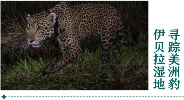 地理冷知识—2026全球最佳旅游地