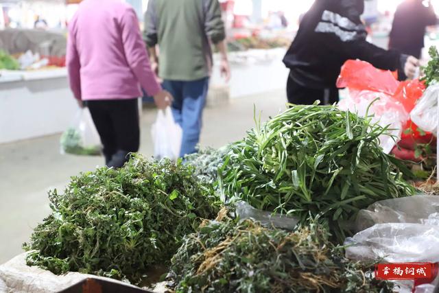 赶一场春天的“限定”