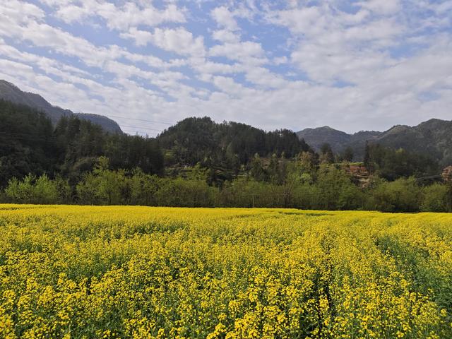 汉中留坝南郑勉县三日游