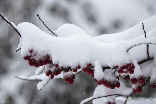 今日立冬不一般，最怕“立冬一日晴”，立冬晴天好还是下雨好？