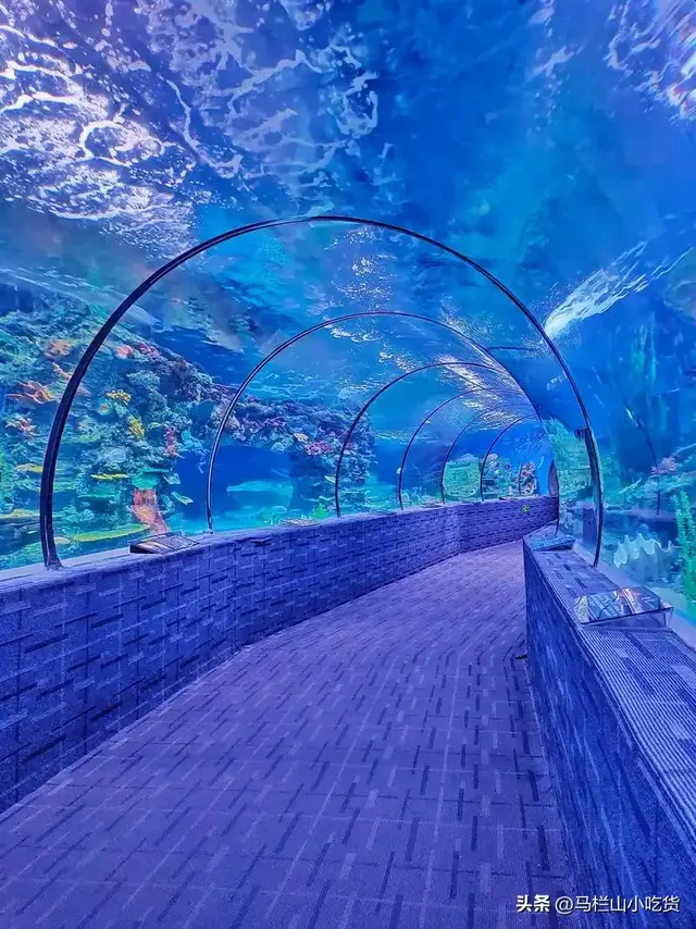 山东滨州保姆级攻略，藏在鲁北的宝藏小城太好逛了！