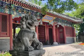 北京大学数学系为什么如此厉害？原因何在？图片