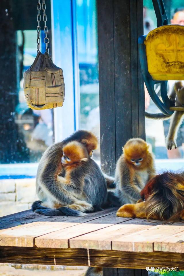 周末不无聊~带娃去这些地方“放电”，还能涨知识！