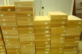 云南28个蚂蚁新种被发现！这个超牛的蚂蚁研究团队就在…图片