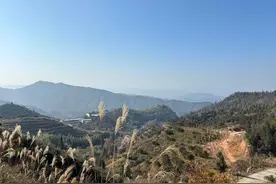 发钱了！吉林省发布补贴通知！图片