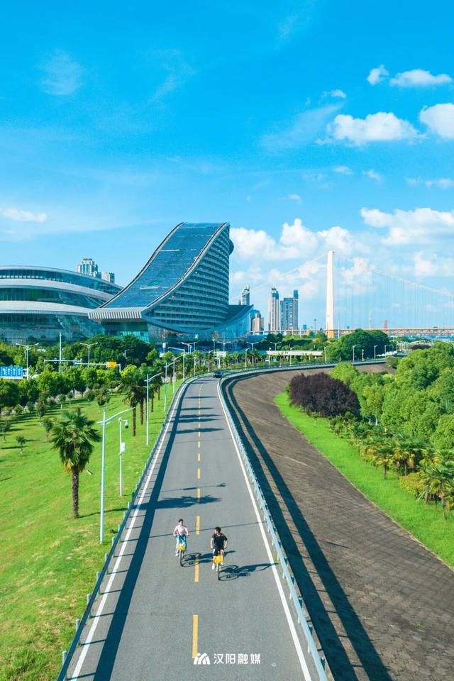 上央视！汉阳这条大道凭什么成顶流？