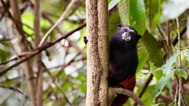 一生一次，2027年出发！41天南极半岛包船登陆，南美4国狂野自驾