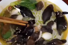 "盘点人类最离奇的幻觉：吃毒蘑菇后你会看到什么？"图片