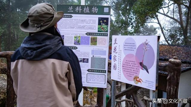 这个中国最后一个通公路的县城！凭什么成为无数人的此生必去？