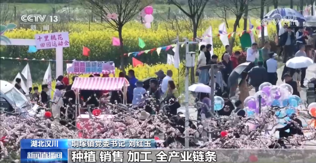 央视关注！汉川垌塚桃花文化旅游季美景出圈