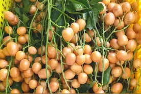 世界九大稀有水果，99%的人没吃超过3种！图片