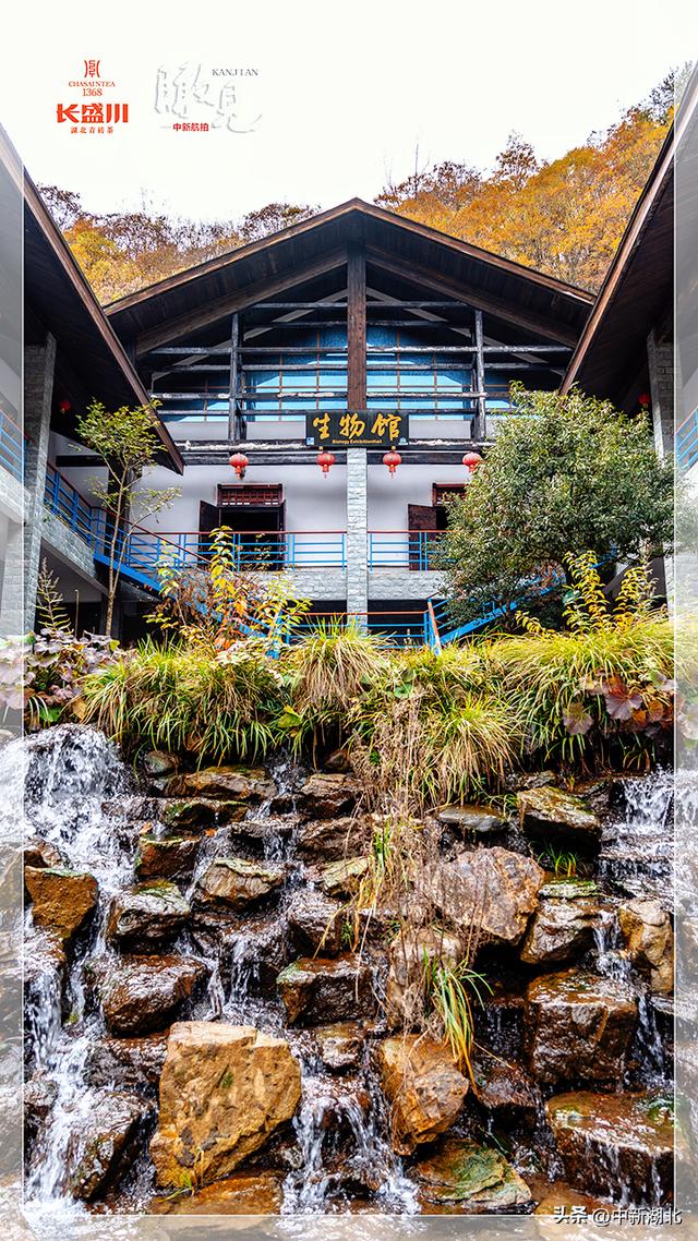 【瞰见】神农架：让心灵与自然共鸣