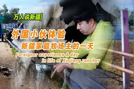 万人说新疆｜外国小伙体验新疆家庭牧场主的一天图片