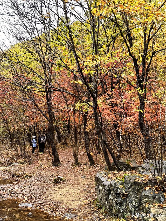 2025辽宁赏秋之旅日记(3)——游览洋湖沟和老边沟