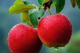 两个苹果，双倍好运，日子清甜，岁岁平安图片