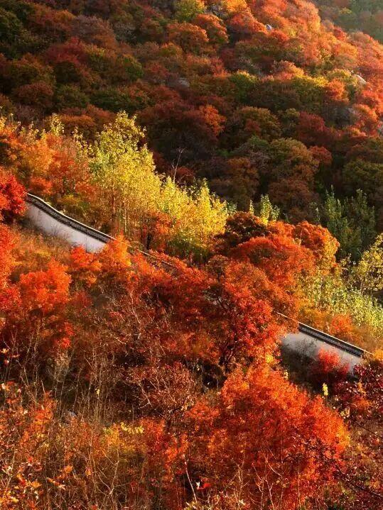 在山东这个“神仙小城”，远离人潮，过几天山海相依、文墨飘香的日子