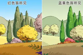 【漫绘科普】色盲的“视界”什么样？图片