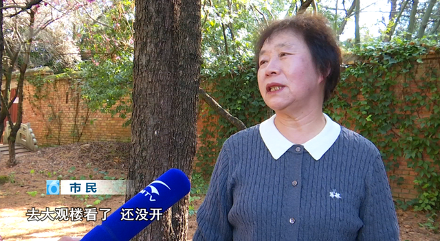 白玉兰绽放、松鼠互动体验，这里有点好玩哦