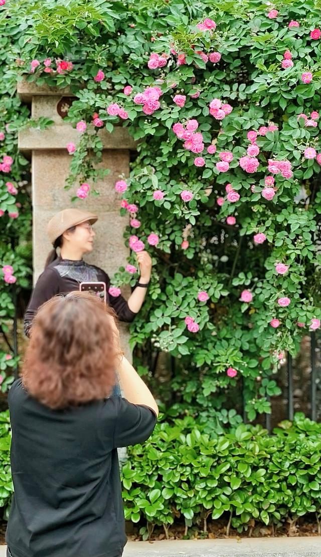 超出片！快来打卡广元这一春日限定美好