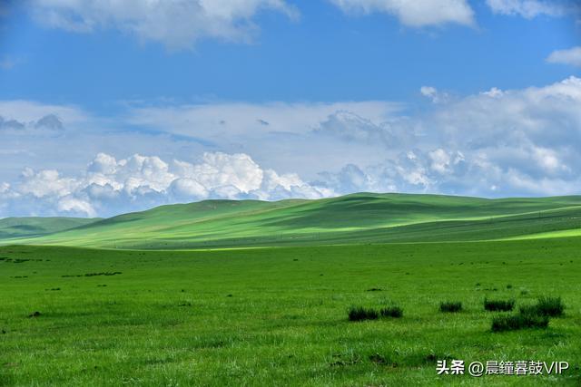 2025，二游内蒙