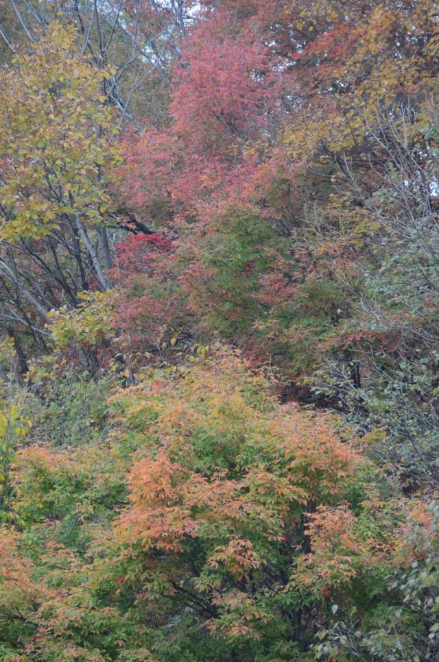 邂逅身边的绝美秋色