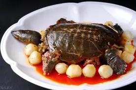 做甲鱼总是有腥味，直接下锅就错了！今天教你正确处理方法，多加一物，肉香不腥，鲜嫩多汁，实在太好吃了图片