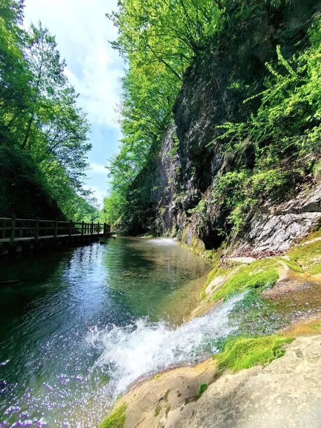“一口包子醉江山”——商州邀您游秦岭江山、品地道美食